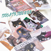 100CATS,100LIVES「100匹の猫、100の人生」第一集(SCENE1〜12)