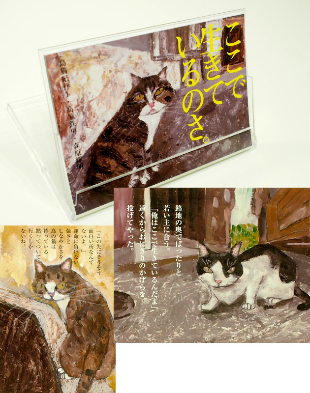高原鉄男「ここで生きているのさ。」(ポストカード１０枚セット)::猫 