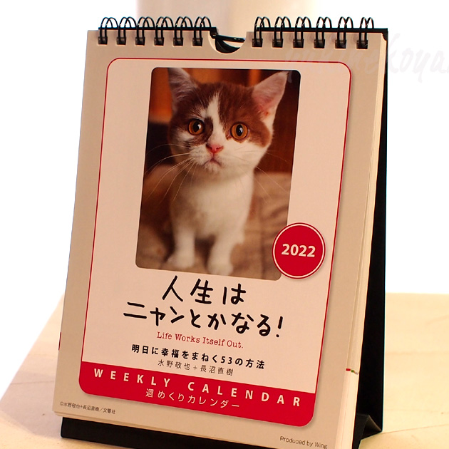 ２０２２年　猫のカレンダー「人生はニャンとかなる！」（週めくり・卓上・壁掛け兼用）