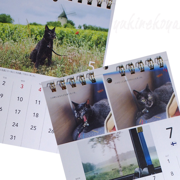 ２０２３年　ヨーロッパを旅してしまった猫と１２ヶ月　黒猫ノロ卓上カレンダー