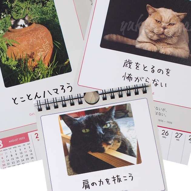 ２０２３年　猫のカレンダー「人生はニャンとかなる！」（週めくり・卓上・壁掛け兼用）