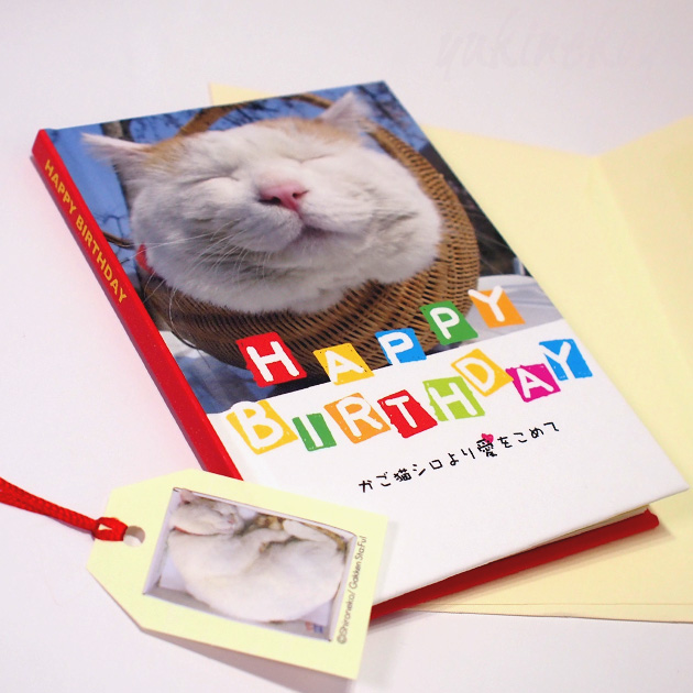 【学研ステイフル】かご猫シロ　メッセージブック　HAPPY　BIRTHDAY