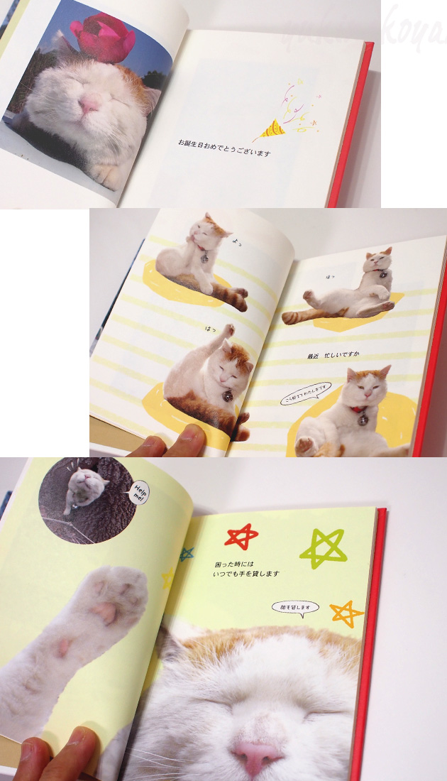 【学研ステイフル】かご猫シロ　メッセージブック　HAPPY　BIRTHDAY