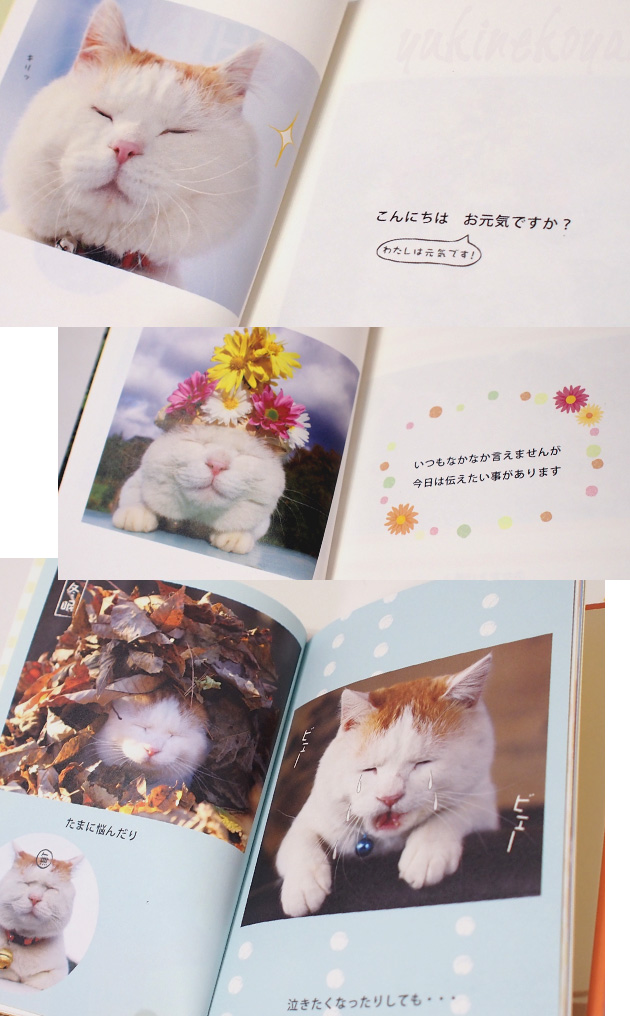 【学研ステイフル】かご猫シロ　メッセージブック　THANK YOU
