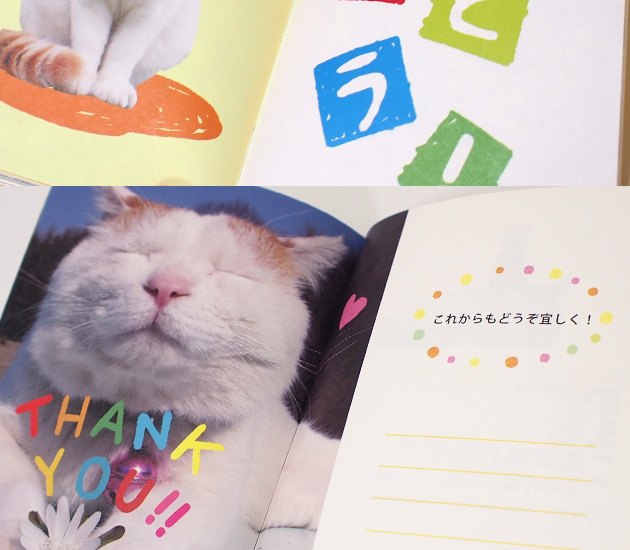 【学研ステイフル】かご猫シロ　メッセージブック　THANK YOU