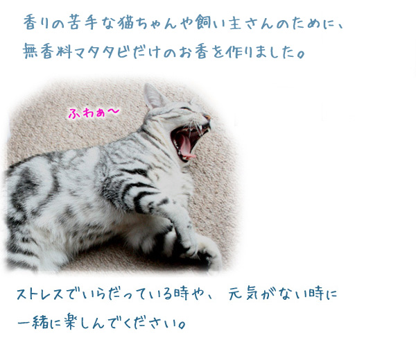 マタタビのお香　キャットインセンス CAT INCENSE　ペーパーキャニスター（マタタビ５本入り）【CAT,CAT,CAT! マリーメゾンドミュー】