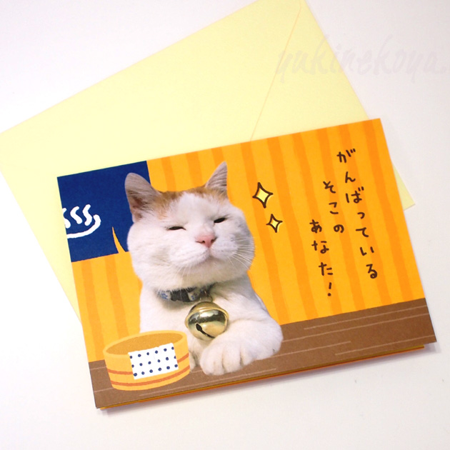 【学研ステイフル】かご猫シロのいい気分。猫のポップアップ・飛び出すグリーティングカード　がんばっている　そこのあなた！　封筒付き
