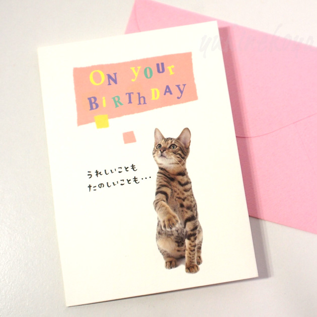 【学研ステイフル】猫のポップアップ・飛び出すグリーティングカード　On your Birthday　うれしいことも　封筒付き（誕生祝）